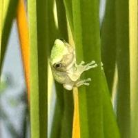 Avatar of Erc Soderlund