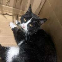 Jan Klimkowski's avatar