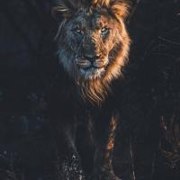 Avatar of Krasimir Marinov