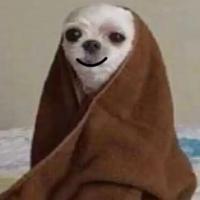 Maxim Lugovskoy's avatar