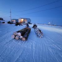 Avatar of KoldSparky