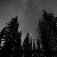 Avatar of Komasaman2