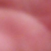 Antonin Ferey's avatar