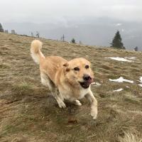 Magdalena Miturova's avatar