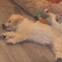 Avatar of kristina s