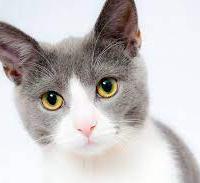 Avatar of krewetka krewetka