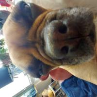 Avatar of Jakub Świdwa