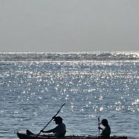 Avatar of kudayangputih