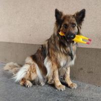 Reka Kovacs's avatar