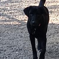 Avatar of özgür yahya oruçoğlu