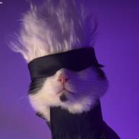 Avatar of Arthur Alexandre Vasconcelos