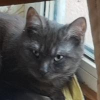 Avatar of Kyrylo Soroka