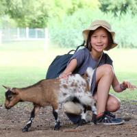 Avatar of Alva Ling Tran