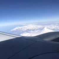 Lanita Stetsko's avatar