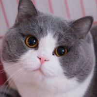 Avatar of lars sasan