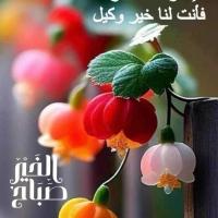 Avatar of Lateef Al Amili