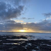 Avatar of darius laumenis