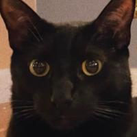 Avatar of Les Wilson