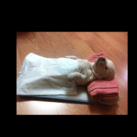 Avatar of Pablo Fernández