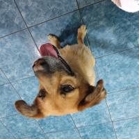 Avatar of Lenny Vasquez