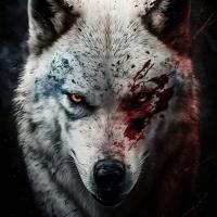 Avatar of LetsGo_Win