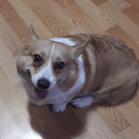 Avatar of LifeOfRyan