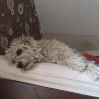 Avatar of Lilaczek34