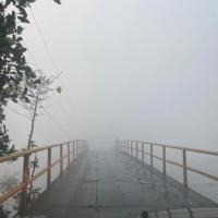 Avatar of LilVitoZee