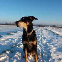 Avatar of Linda Palmer