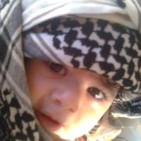 Ward Al-Tarboush's avatar