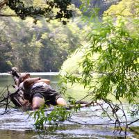 Avatar of lisandro c