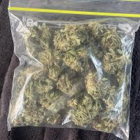 Avatar of Mr Take Yo Virginity