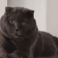 Avatar of Leopold Le Ruyet