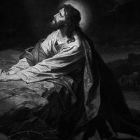 Avatar of LM_capybara