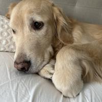 Avatar of Lance Williams