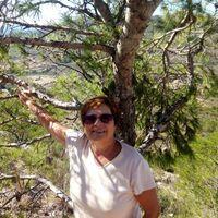 Avatar of Lolimartinez