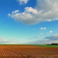 Avatar of lord_neaufate