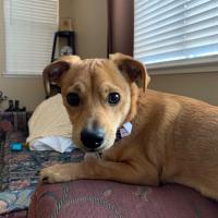 Avatar of Lorenzandreil