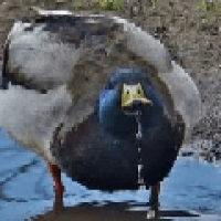 Juan Ignacio Ruiz's avatar