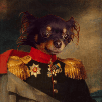 Avatar of LourencoGG