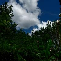 Avatar of Devil'v_sun™