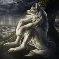 Avatar of Luc Hoffman