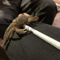 Avatar of Lucaporetti