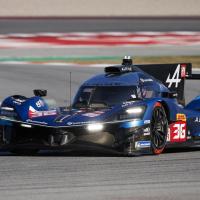 Avatar of Luc Borgna