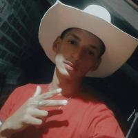 Avatar of Luyd Silva Ferreira