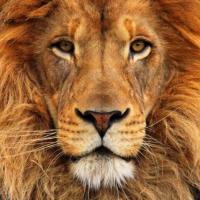 Avatar of Christiaan van Staden