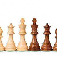 Magdalena Łysiak-Półtorak's avatar