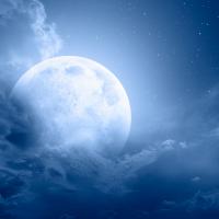 Avatar of manolis fnord