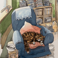 Avatar of Macavitygeniuscat