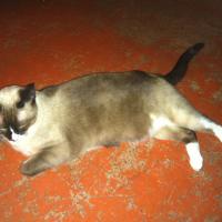 Avatar of Alejandro Barraza-Valdez